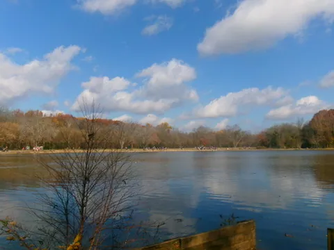 Calm lake under a bright blue sky